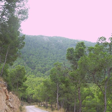 بيت شباب Aljibe De Monastrell Ricote المظهر الخارجي الصورة